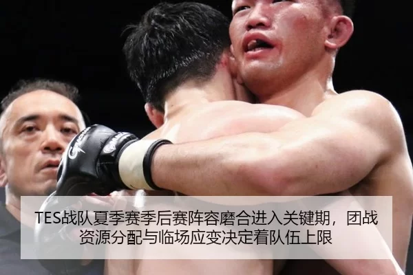 TES战队夏季赛季后赛阵容磨合进入关键期，团战资源分配与临场应变决定着队伍上限